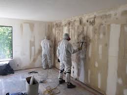 Best Mold Remediation for Healthcare Facilities  in Bessemer, MI